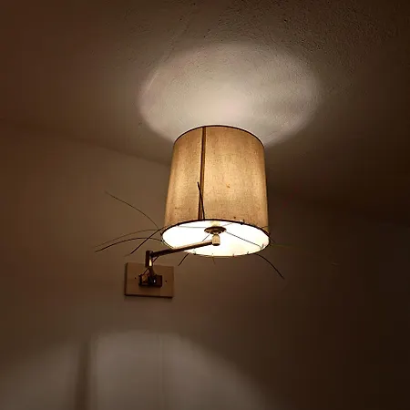 Loft Antico La Casina Di Paola * Seggiano